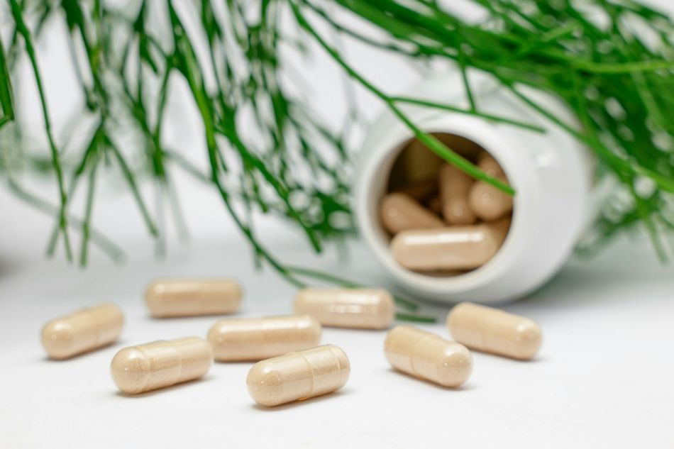 Humeur: comment les champignons l'affectent-ils ?